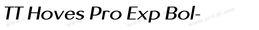 TT Hoves Pro Exp Bol字体转换 TT Hoves Pro Exp Bol字体转换